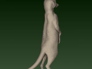 SURIKATE 3D Print Model