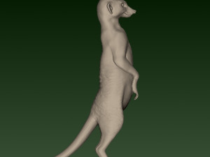SURIKATE Modèles 3D en vedette
