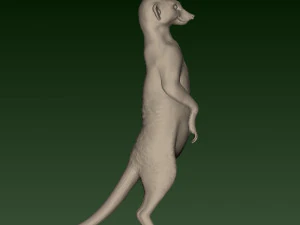 SURIKATE 3D Print Model