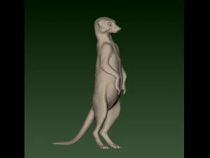 SURIKATE 3D Print Model
