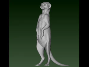 SURIKATE 3D Print Model