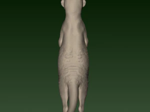 SURIKATE 3D Print Model