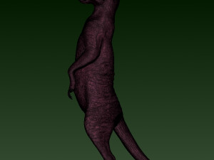 SURIKATE Modèles 3D en vedette