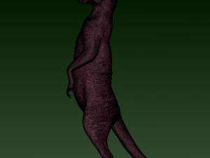 SURIKATE 3D Print Model