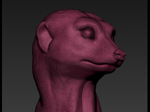 SURIKATE Modèles 3D en vedette