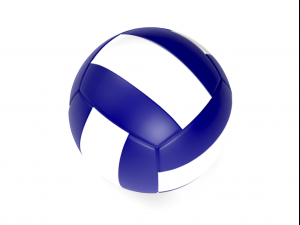 Volleyball Ball 3Dモデル