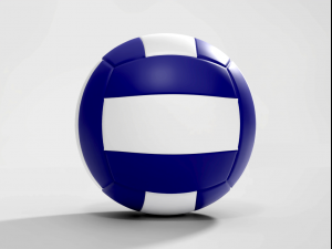 Volleyball Ball 3Dモデル