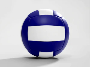Volleyball Ball 3D Model