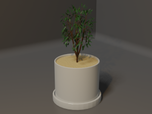 Potted Plant Modello 3D