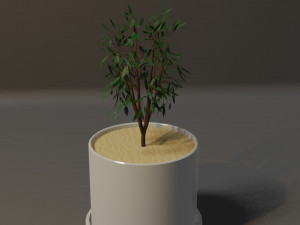 Potted Plant Modello 3D