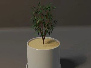 Potted Plant 3D Model