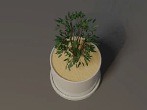 Potted Plant 3D Model
