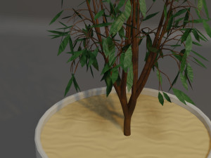 Potted Plant Modello 3D