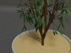 Potted Plant 3D Model