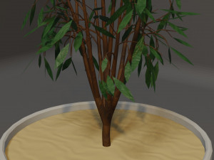 Potted Plant Modello 3D