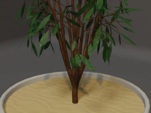 Potted Plant 3D Model