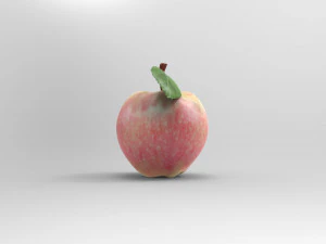 Red Apple 3D Model