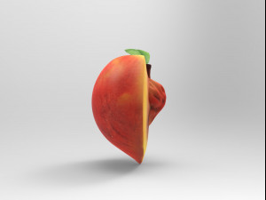 Half a peach Model 3D