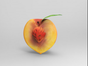 Half a peach Model 3D