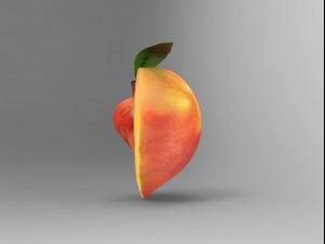 Half a peach Model 3D
