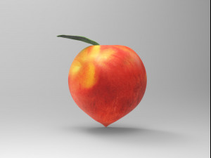 Half a peach Model 3D