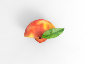 Half a peach Model 3D