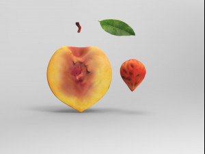 Half a peach Model 3D