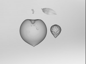 Half a peach Model 3D