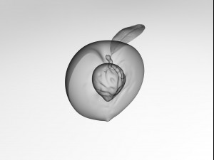 Half a peach Model 3D