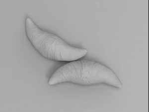 Pakket picknick 3D Model