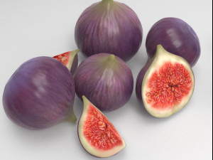 Figs Modèle 3D