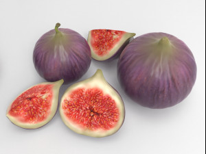 Figs Modèle 3D