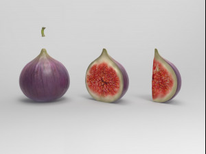 Figs Modèle 3D