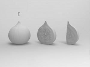 Figs Modèle 3D