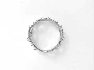 Ring Crown Of Thorns 3D Model
