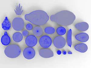 Fruit Set 3D Model