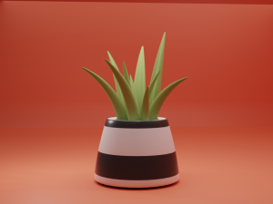 Aloe vera plant 3D Model