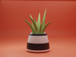 알로에베라 식물 3D 모델