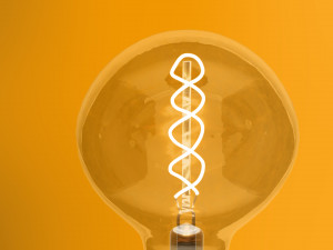 Incandescent lamp Modello 3D