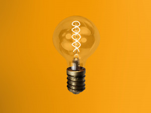 Incandescent lamp Modello 3D