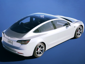 Tesla Model 3 2019 3D Model