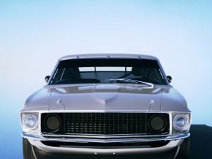 Mustang Boss 302 Trans Am 1969 3D Model