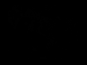 Bangkok - Thailand 3D Model