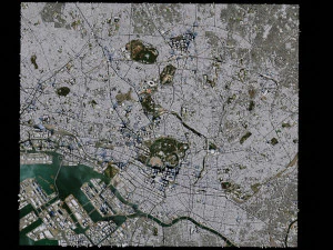 Tokyo - Japan 3D Model