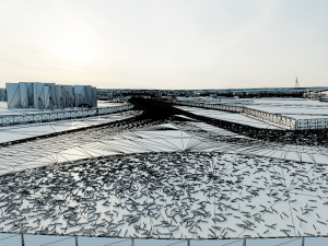Silverstone Circuit - International Segment - UK Modelo 3D