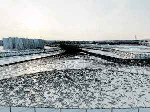 Silverstone Circuit - International Segment - UK 3D Model