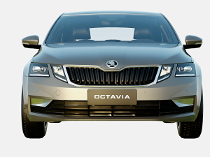 Skoda Octavia 2019 Base Model Modello 3D