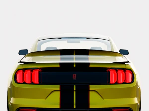 Mustang Shelby GT350r 2016 3D Model