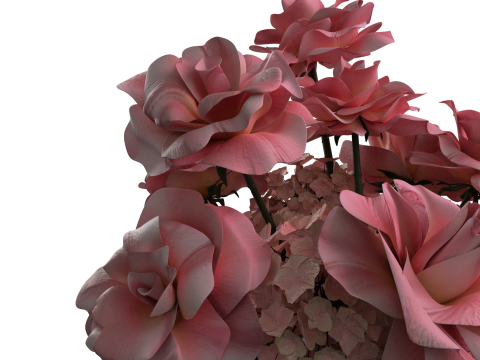 Pink french ROSES 3Dモデル