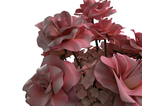 Pink french ROSES 3D Model